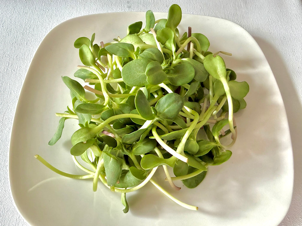 Sunflower 3 oz