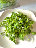 Pea Shoots 3 oz