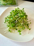 Broccoli 2 oz